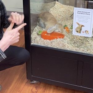Meet your Posher, Travis